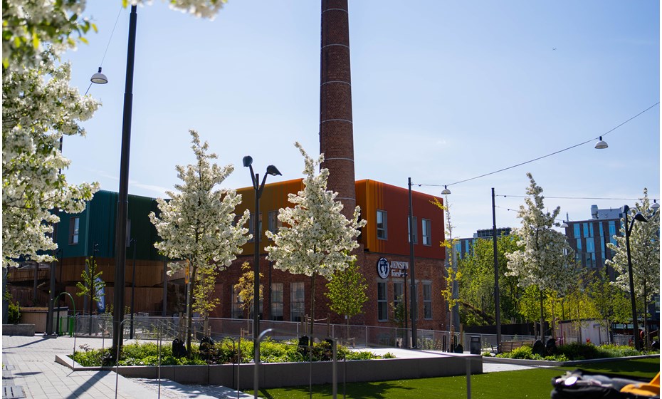 Nobelberget sommar.jpg